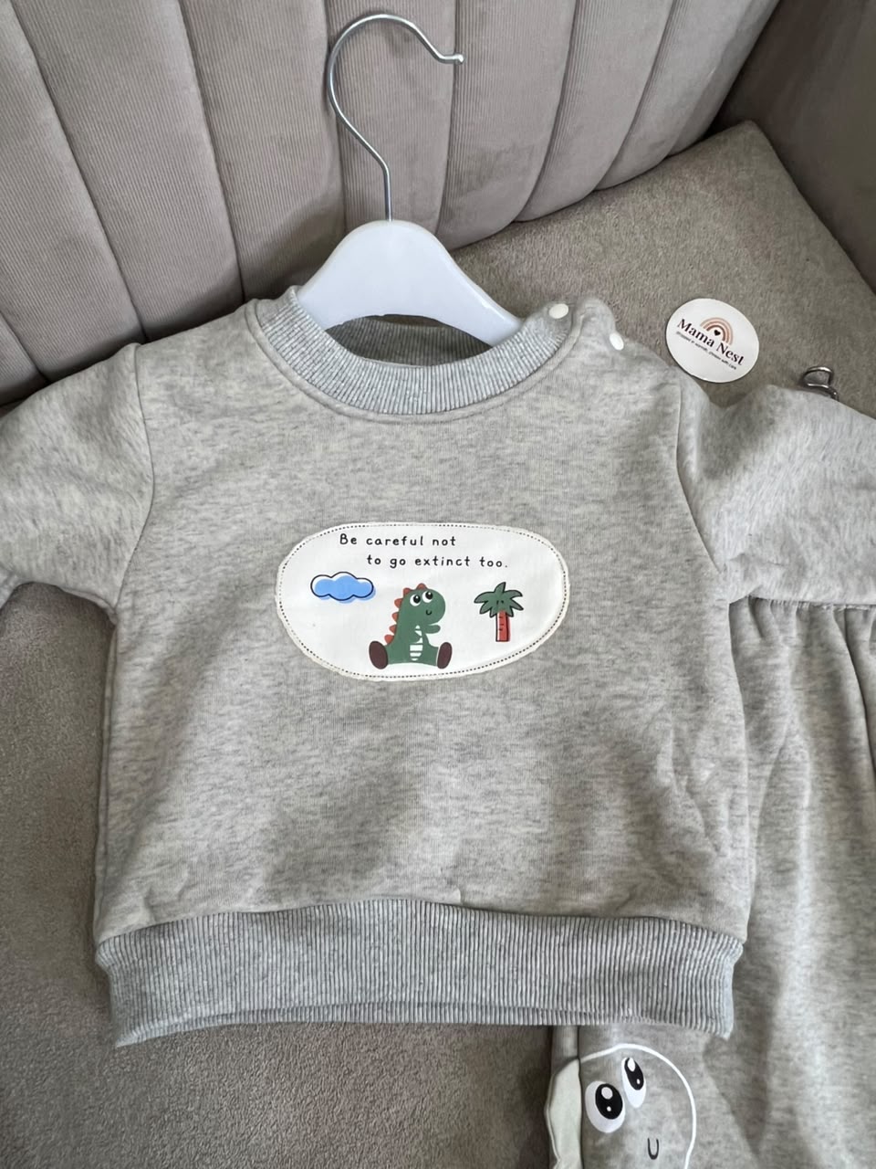 Grey Dinosaur Sweatshirt & Jogger Set Fleece